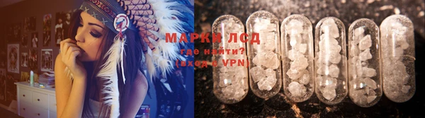 соль ск Дмитриев