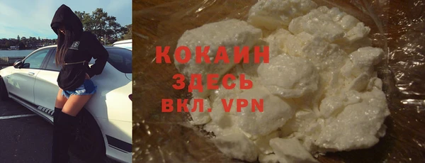 гашик Нефтекумск