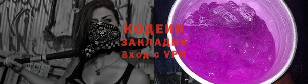 соль ск Дмитриев