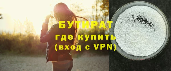 соль ск Дмитриев