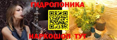 индика Кимры