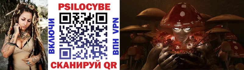 Галлюциногенные грибы Psilocybine cubensis  сколько стоит  omg ONION  Острогожск 