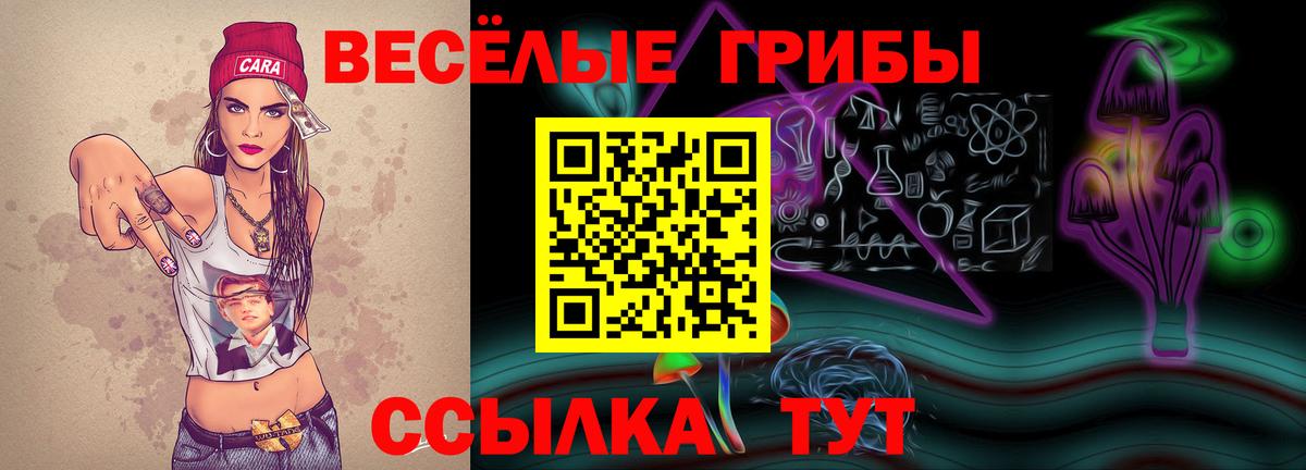 Псилоцибиновые грибы мухоморы Острогожск
