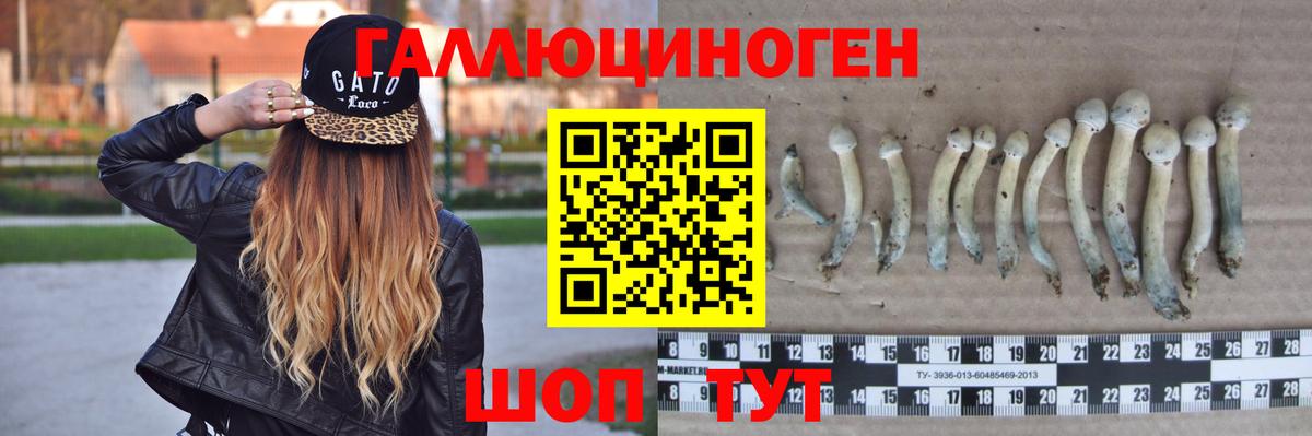 Острогожск  Галлюциногенные грибы прущие грибы  Вход с VPN 