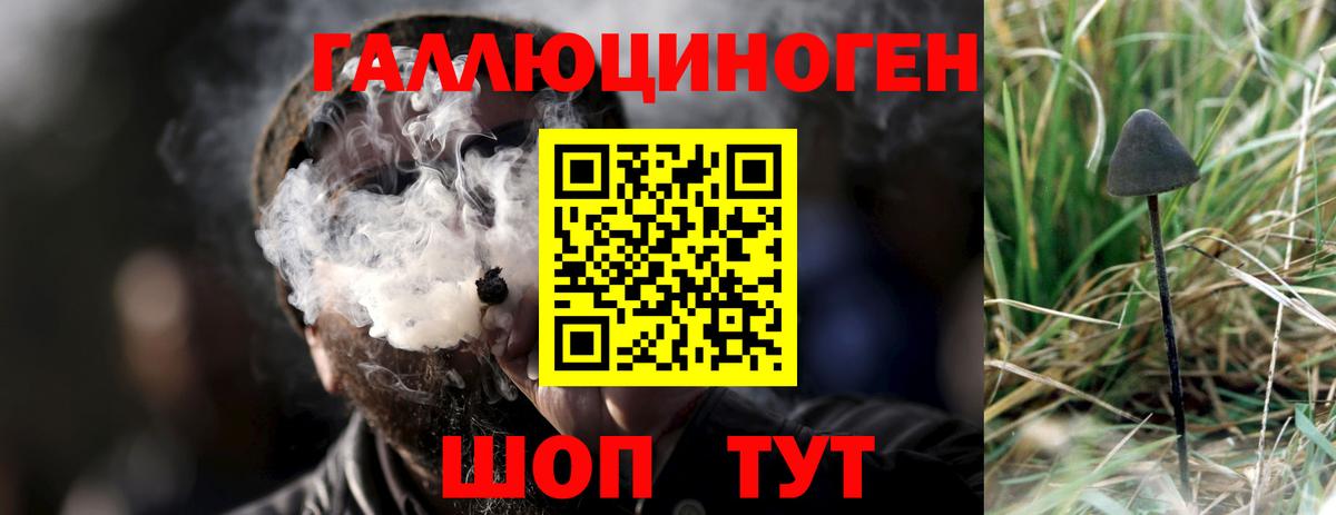 Псилоцибиновые грибы мицелий Острогожск